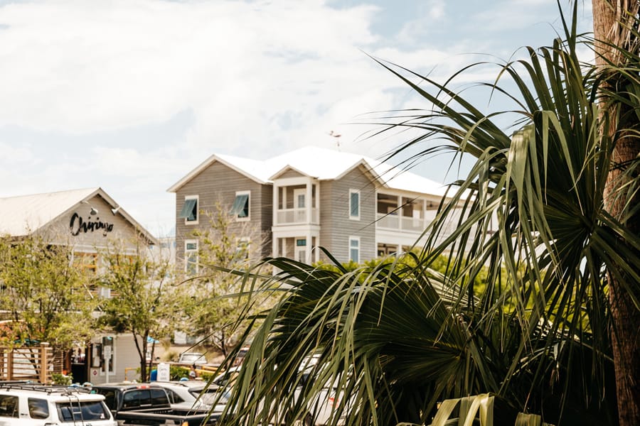 grayton beach houses 