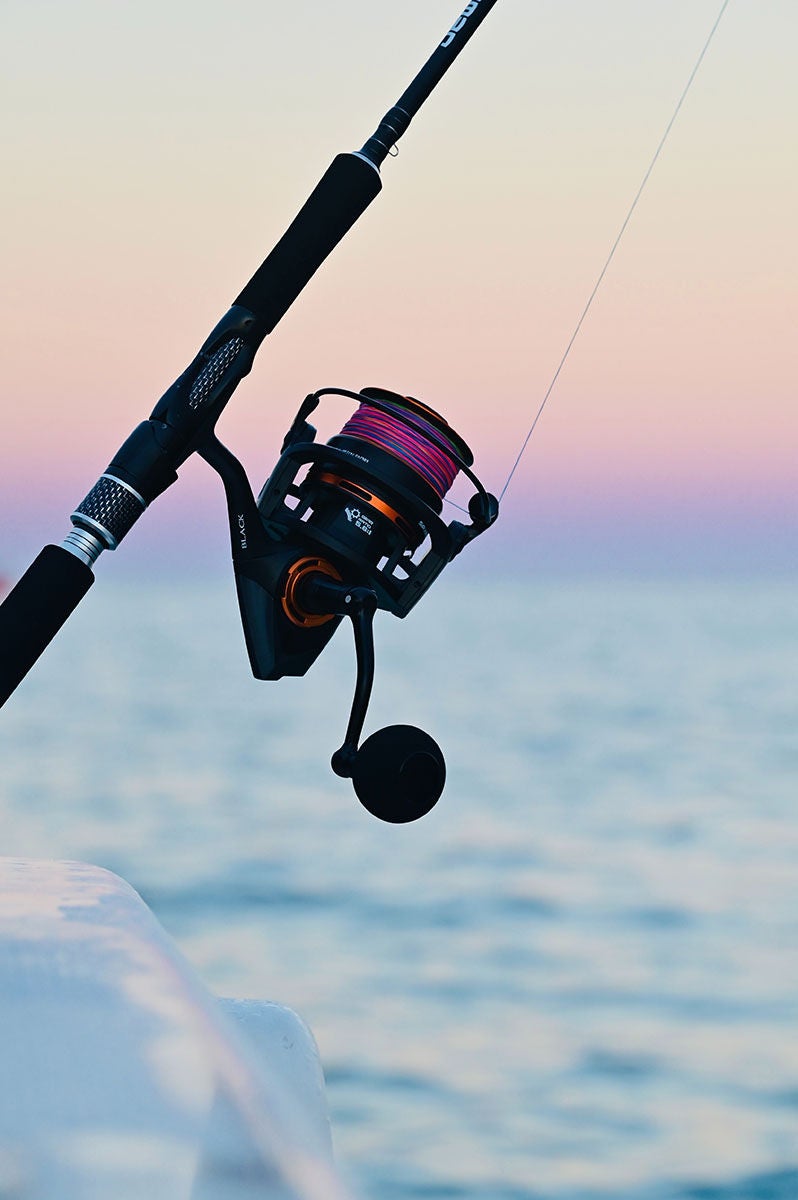 fishing pole against a colorful sky