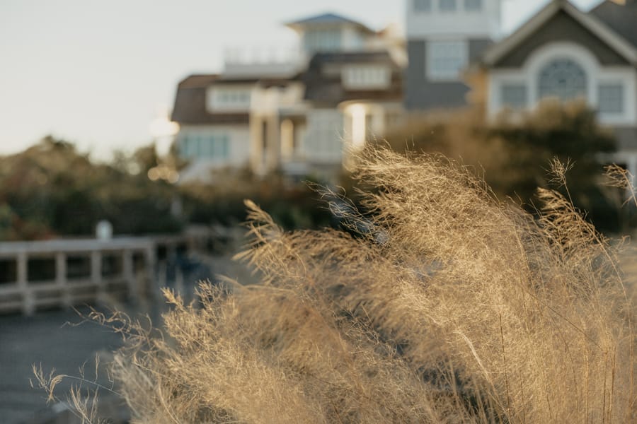 Beach Views