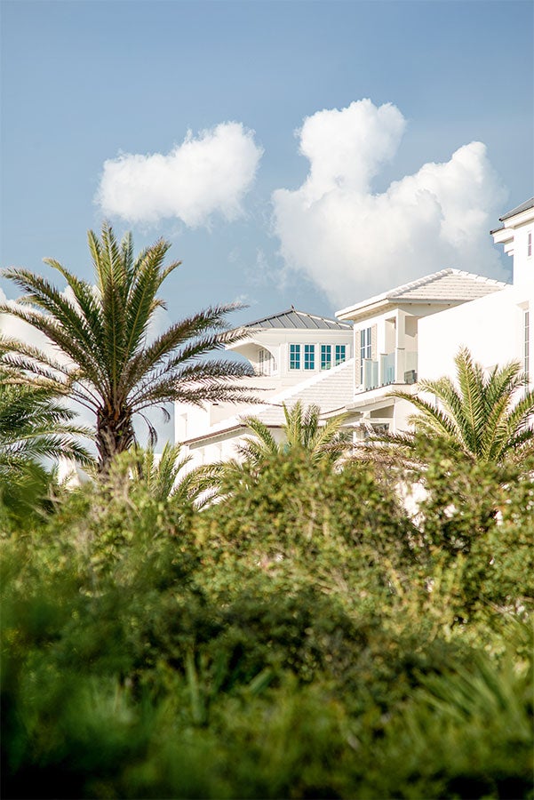 Seacrest Beach Palm Trees and homes