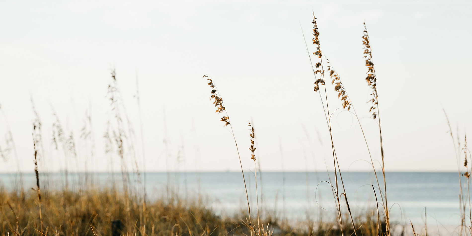 Miramar Beach, FL